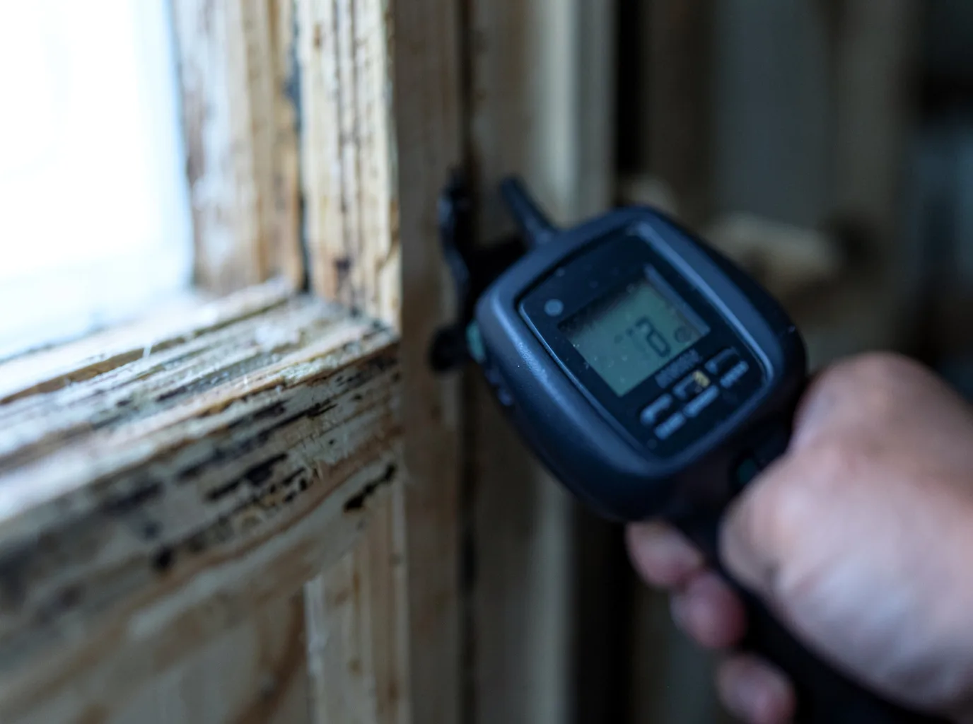 Moisture Inspection And Documentation in Seminole, TX